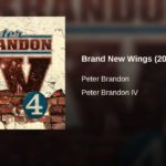 Brand New Wings by Peter Brandon