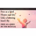 Free As A Bird by The Beatles