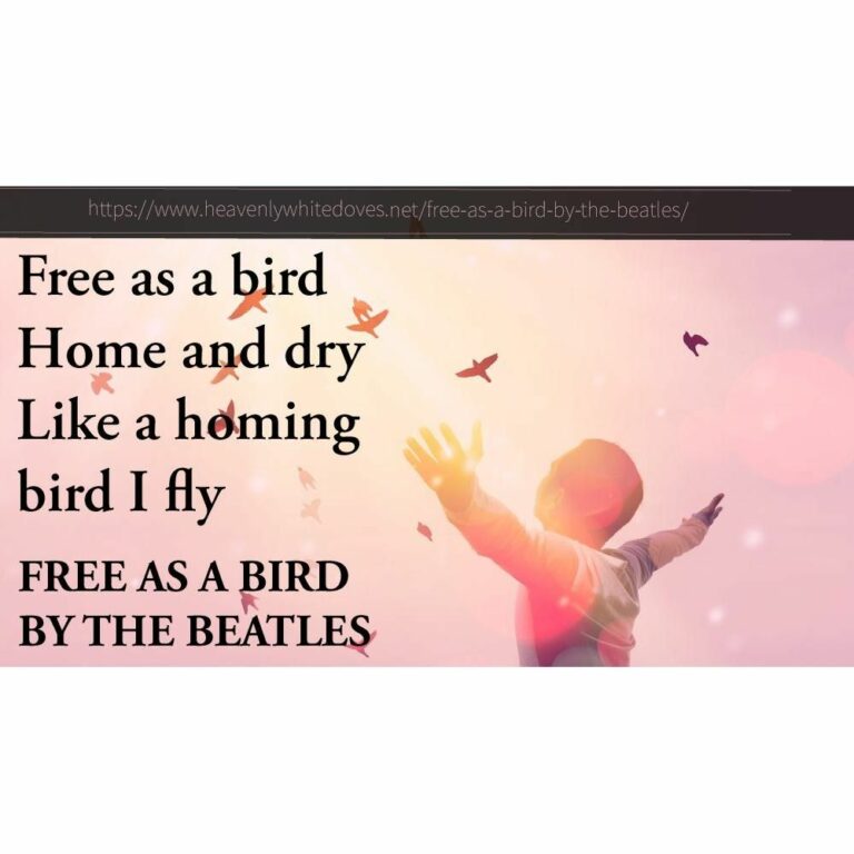 Free As A Bird by The Beatles