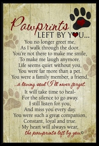 Pawprints left by you by Teri Harrison