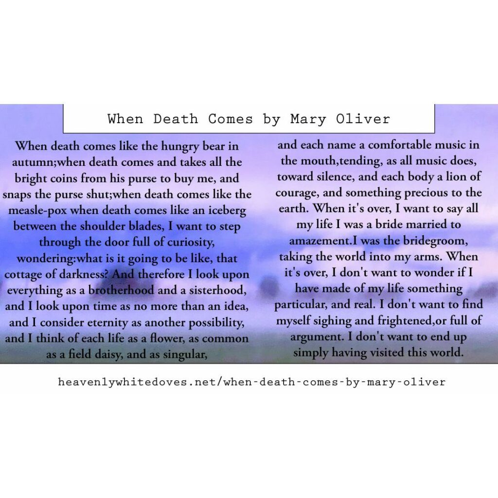 When Death Comes by Mary Oliver