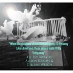I'll Fly Away by Alison Krauss and Gillian Welch