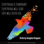 Birds by Imagine Dragons