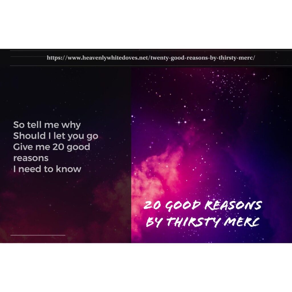 20 Good Reasons by Thirsty Merc