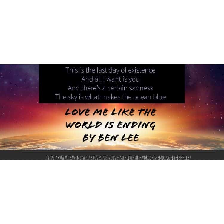 Love Me Like The World Is Ending by Ben Lee