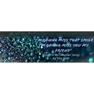 Cryin' For Me (Wayman's song) by Toby Keith