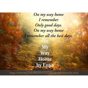 On My Way Home by Enya